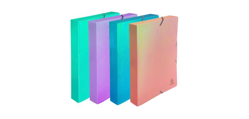 Boite de classement à élastiques dos 40mm PP Candy Tidy - Couleurs assorties