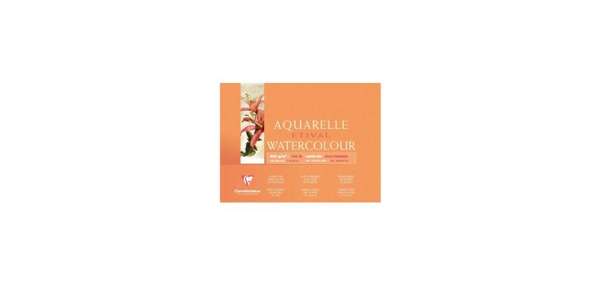 Etival bloc collé 4 côtés 25F 18x24cm 300g grain fin