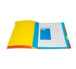 Trieur Harmonika fenêtres imprimées Véritable carte lustrée 5 compartiments - Couleurs assorties