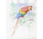 Aquarelle Prédessiné Animaux bloc collé 15F 30x40cm 300g