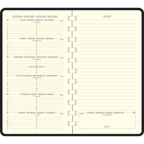 Recharge Agenda de poche Espace 16S spiralé 9 x 16 cm Semainier Janvier à Décembre 2026