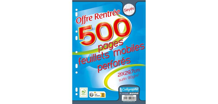 Feuillets mobiles perforés, A4, séyès