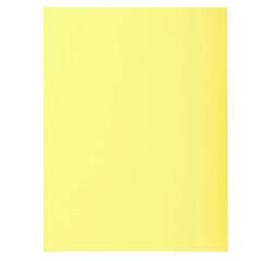 Pk 50 Folders SUPER 210 2 Flap canary