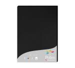 Etui de 25 feuilles Pollen 210x297 210g/m2