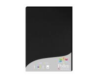Etui de 25 feuilles Pollen 210x297 210g/m2 - Noir