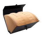 TRIEUR VALISETTE ÉCONOMIQUE 20 COMPARTIMENTS