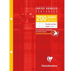 Copies doubles sous étui 17x22cm 200 pages perforées 2 trous grands carreaux
