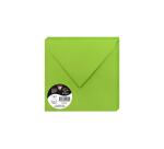 Paquet de 20 enveloppes Pollen 165x165mm 120g/m2