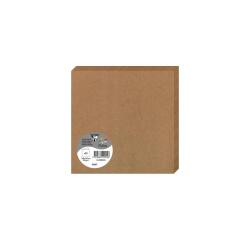 Paquet de 25 cartes pliées Pollen 160x160mm 210g/m2