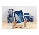 Cyanotype, Chemise à élastique 24x32cm