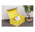 Inkebana, Boîte rectangulaire 29,8x17,8x10,8 cm - Multicolore