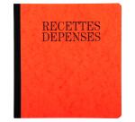 Piqûre 21x19cm recettes-dépenses 80 pages - Couleurs assorties