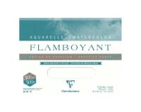 Flamboyant bloc collé 4 côtés 20F 36x51cm 300g