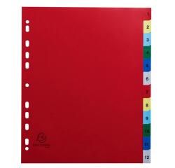 Separadores Separadores con pestañas impresas Polipropileno 12/100º - Surtidos brillantes - Colores surtidos vivos