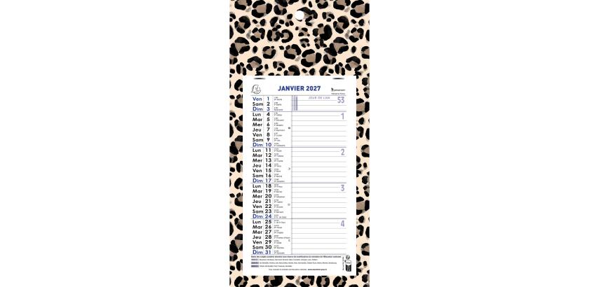 Calendrier mensuel URBAN avec feuillets détachables 13 x 23 cm sur support plaque imprimée 16 x 33 cm 2027 ROAR - Visuel