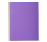 Pack of 10 expanding spine folders ROCK'S 320gsm - 24x32cm.