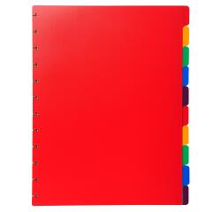 Separadores para carpetas de fundas amovibles - (Nº de separadores: 10) - 24x30,5 cm para A4 MAXI - Colores surtidos