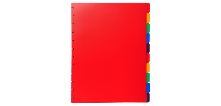 Coloured polypropylene dividers 10 part for removable display book.
