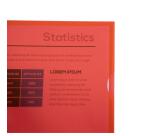 Pak 100 L-mappen - gestructureerde PP 12/100e - A4