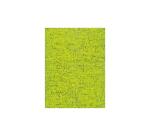 Pochette 3 Feuilles Identiques Ref 301 - Vert