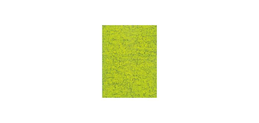 Pochette 3 Feuilles Identiques Ref 301 - Vert