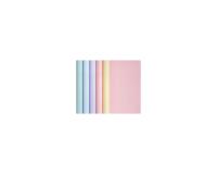 Papier affiche 90g, 5x0,35m en carton prés. de 20 rlx ass. Pastel - Assortiment pastel