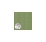 Pak 25 enkelvoudige kaarten Pollen 160x160 210gm2