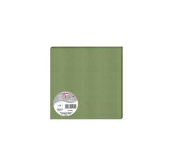 Paquet de 25 cartes simples Pollen 160x160 210g/m2 - Vert sauge