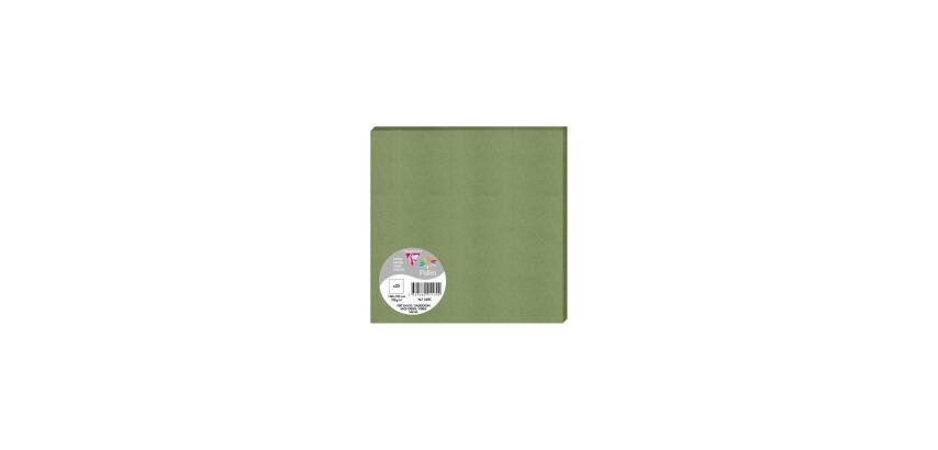 Paquet de 25 cartes simples Pollen 160x160 210g/m2 - Vert sauge