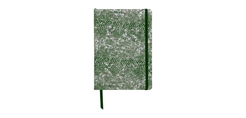 CÉLESTE Carnet A5 RR, Ligné 144 pages Lazer Vert Argent