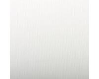 Ingres Pastel paquet 25F 50x65cm 130g - Blanc
