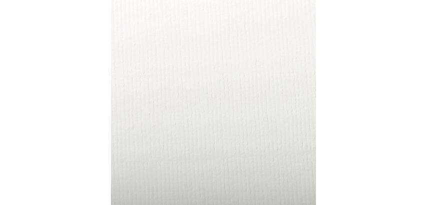 Clairefontaine Ingres Pastel Paper Pack - 50 x 65cm - 25 Sheets - 130gsm - White