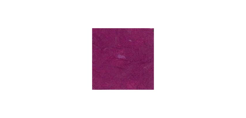 PAPIER MÛRIER, Étui de 10 feuilles 25g/m2 au format 65x95cm - Prune