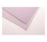 Clairefontaine Polypro Sheets Pack - 10 Sheets - 50 x 70 cm - Lilac