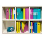 Set von 4 MAG-CUBE Stehsammler Forever Young - Farben sortiert