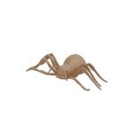 Spider 100cm - Kraft