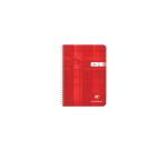 Répertoire reliure intégrale A5 100 pages petits carreaux - Assortis