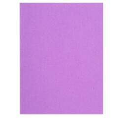Paquet de 100 chemises FLASH 220 100% recyclé - 24x32cm