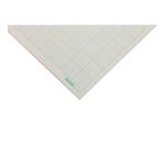 Goldgraph Millimeterpapier 30 blad 70g millimeters 1/10,1/2 &1 perfo 4 gaten A3 (29,7x42cm)