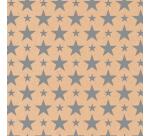 Kraft Recycled, grote rol geschenkpapier 50mx70cm Motief Christmas zilveren sterren - Zilver