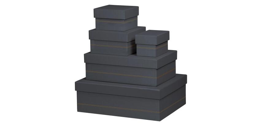 Rhodiarama set 5 boîtes gigognes simili cuir italien 44x34x16 cm - Titane