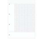 Bloc de cours CORNELL encollé grand côté A4 200 pages perforées 4 trous Cornell grands carreaux - Bleu pétrole