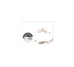 COLLECTION EUCALYPTUS, Paquet de 20 enveloppes imprimées Pollen 114x162mm 120g/m2 - Rose 1 - Rose
