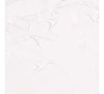 Peinture acrylique extra-fine fine tube 75ml - Blanc de titane gris