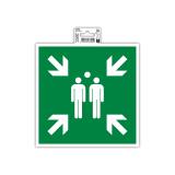 Panneau PP adhésif Point de rassemblement 20x20 cm - Vert