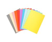 Confezione da 100 cartelle semplici Forever 220 - 24x32cm - Colori assortiti
