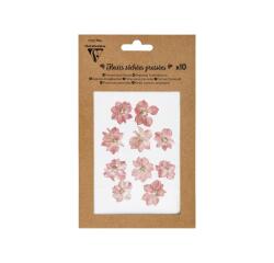 <b>GEPRESSEERDE DROGE BLOEMEN</b>, Set van 10 stuks - Roze