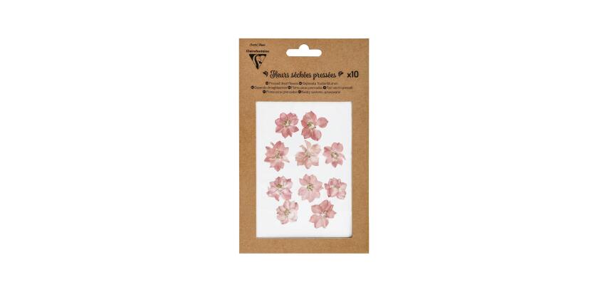 FLEURS SÉCHÉES PRÉSSÉES, Pochette de 10 pièces - Rose