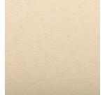 Ingres Pastel paquet 25F 50x65cm 130g