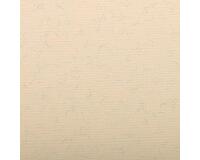 Ingres Pastel paquet 25F 50x65cm 130g
